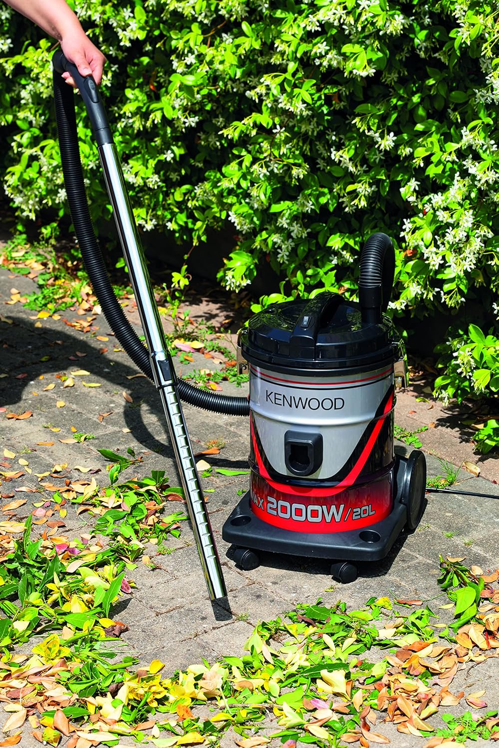 91hVBAJ4wRL._AC_SL1500_